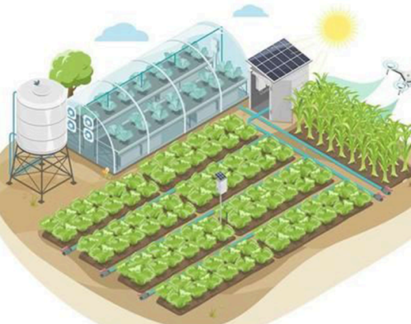 Screenshot 2025-08-18 014422